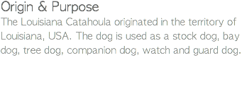 Origin & Purpose The Louisiana Catahoula originated in the territory of Louisiana, USA. The dog is used as a stock dog, bay dog, tree dog, companion dog, watch and guard dog.